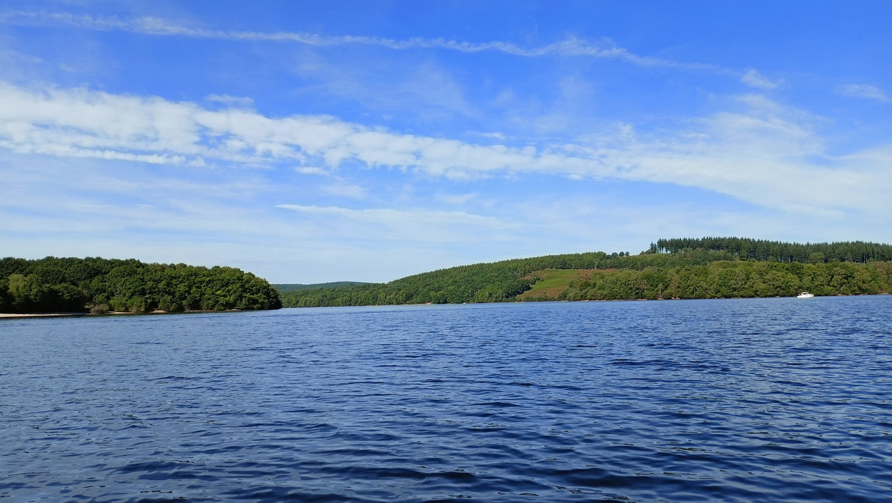 IMG20250907105221 (Large)