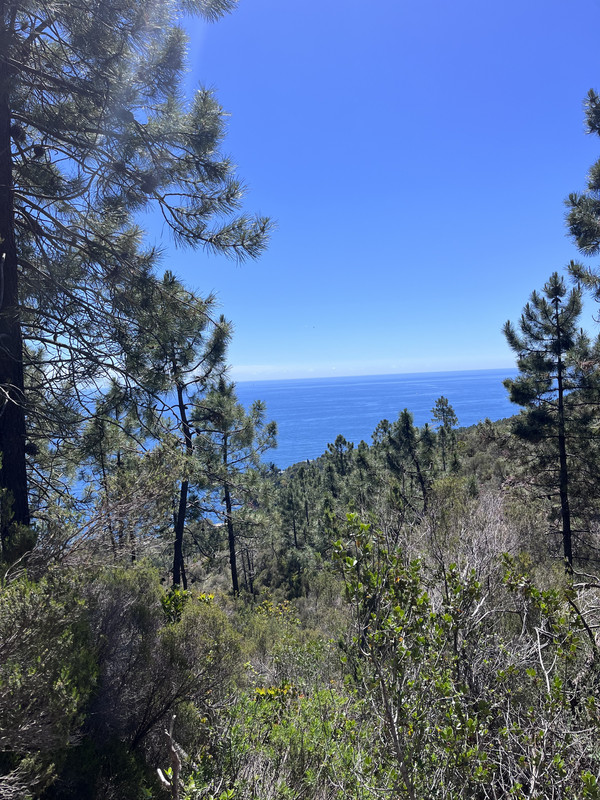 [Image: IMG-9068.jpg]