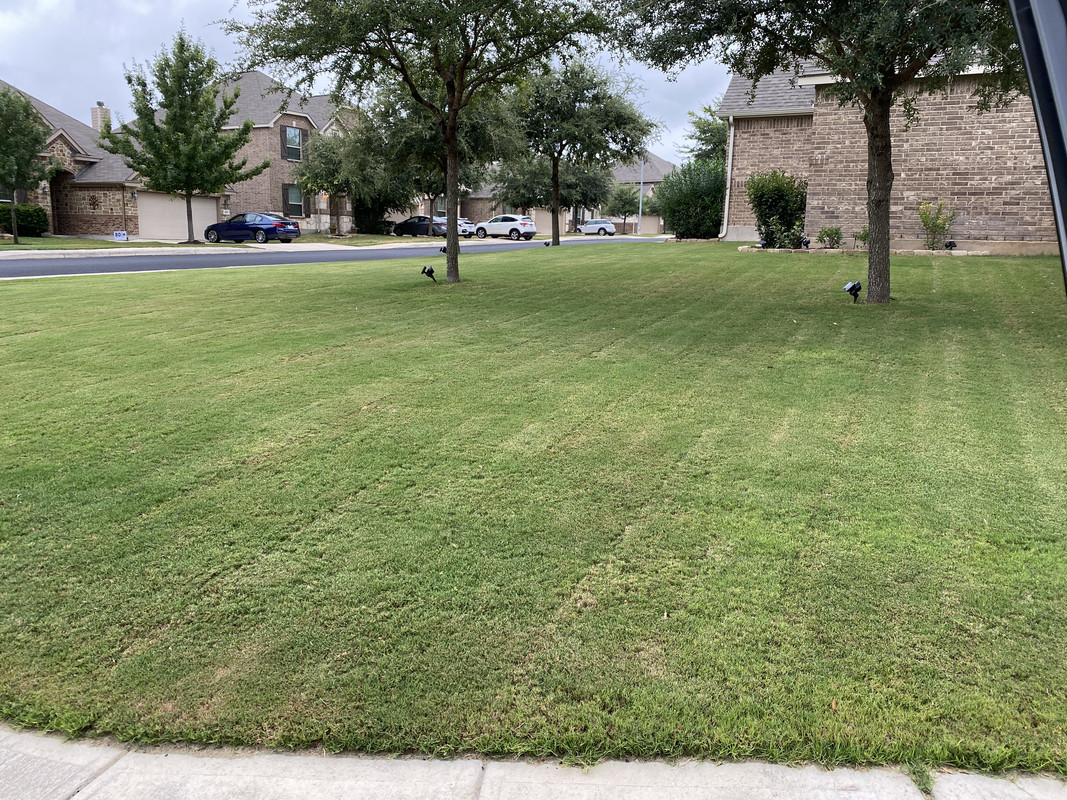 Can&rsquo;t get my Bermuda to get dark green | Lawn Care Forum