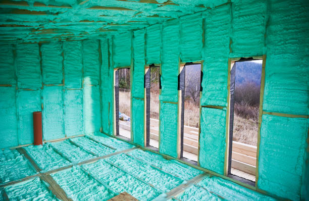 Foam Insulation