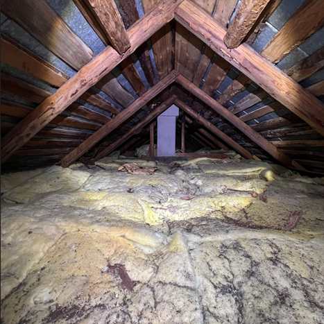 Näyttökuva 2025-03-24 182720