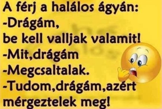 https://i.postimg.cc/MT4fbcBT/a-ferj-ahalalos-agyan.jpg