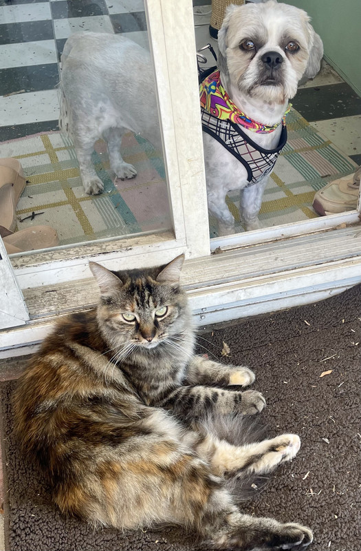 63EDFB99-7475-4700-8AEC-63814964030B_1_201_a