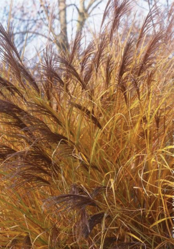 1754A3F4-20F1-4721-9204-86C83A0CAA33