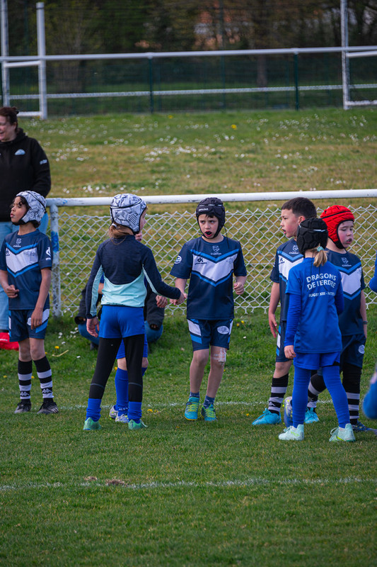 tournoi-de-latlantique-2026-adonis-griffon-90-55181693170-l