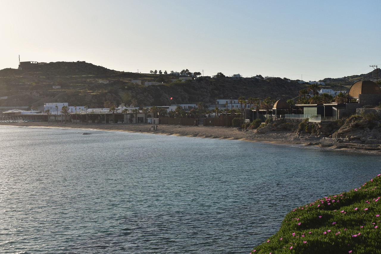 Paradise (15)