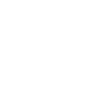 Indrone's website footer social media icon