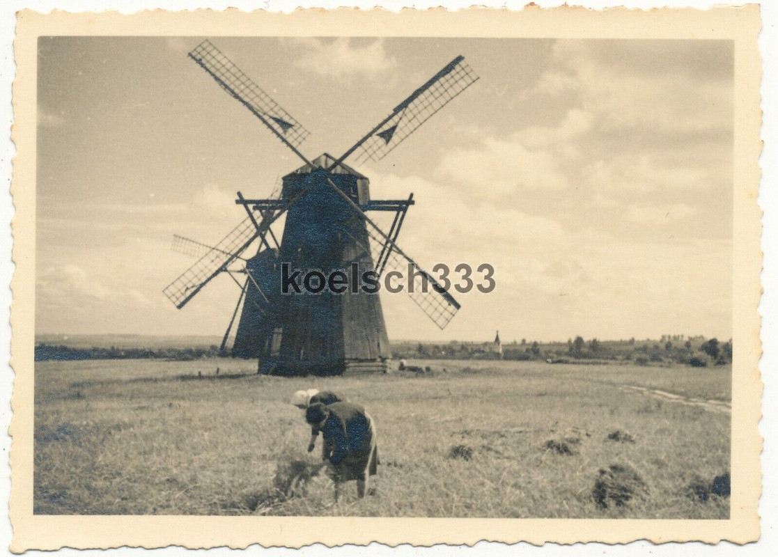 Foto Bäuerinnen bei der Ernte Arbeit vor Windmühlen im Osten 1941