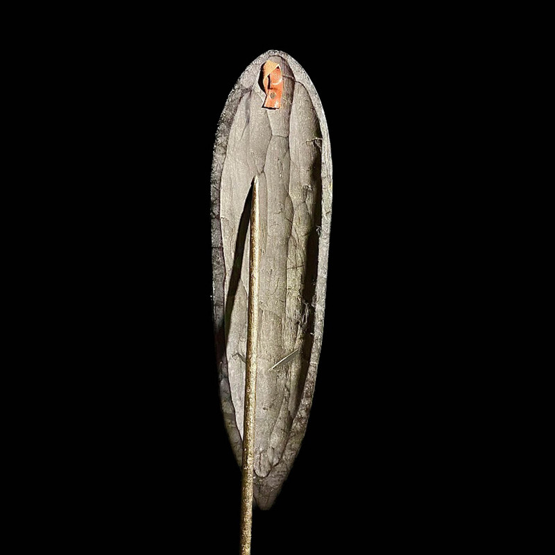 large image 11