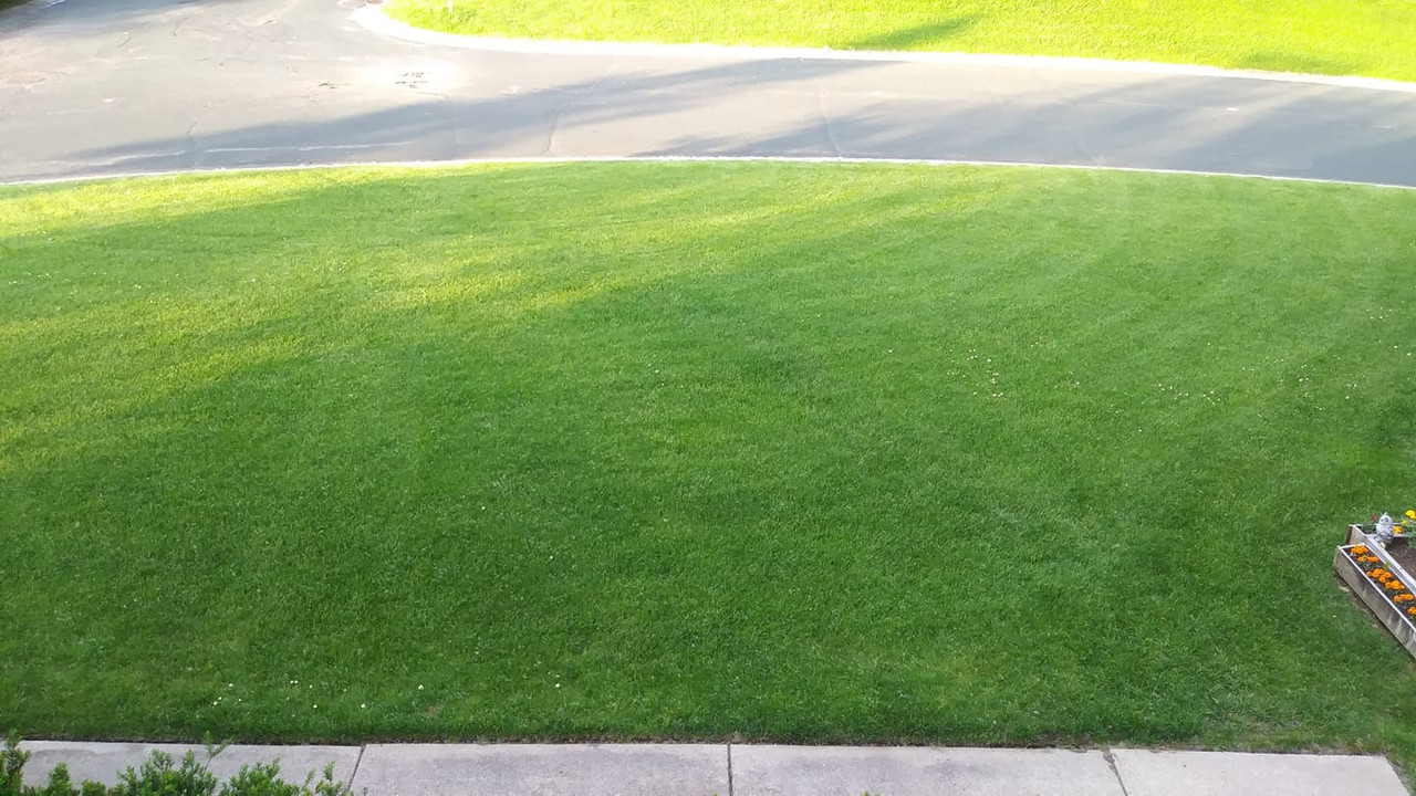 62490384_10220403707541366_2072446862782103552_o