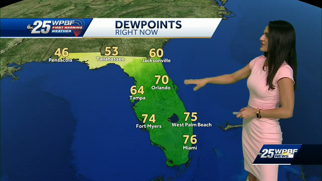 11.02 - 04.00.00 - WPBF 25 News..ts_snapshot_00.08.10.767