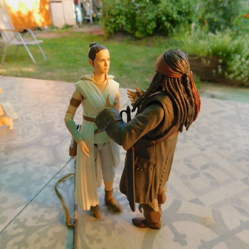 Дачно-Харлинский июнь-июль 2024 242