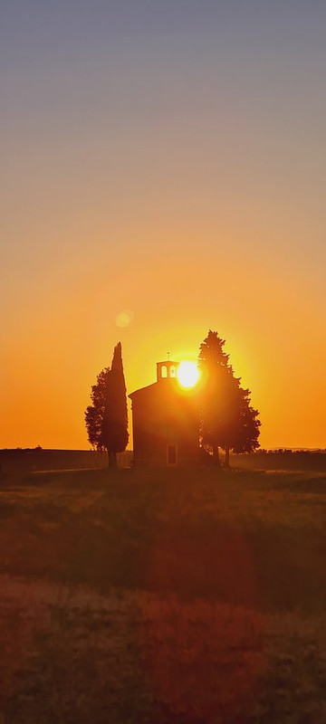 La Toscana 2022: entre termas y cipreses - Blogs de Italia - Los cipreses creen en Dios...y más en Val D'Orcia (4)