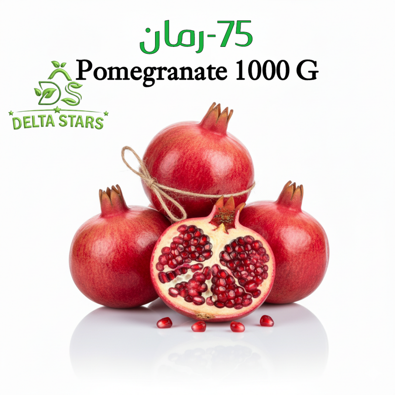 download id 1Preac AGBSHSIq Rqwr dyqy CWTj DGEP31 export view