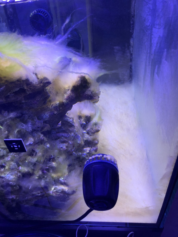 E35EB508-796D-4E7B-A904-7960D3861205