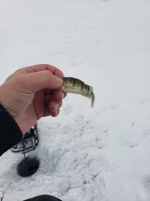 20190210_154111