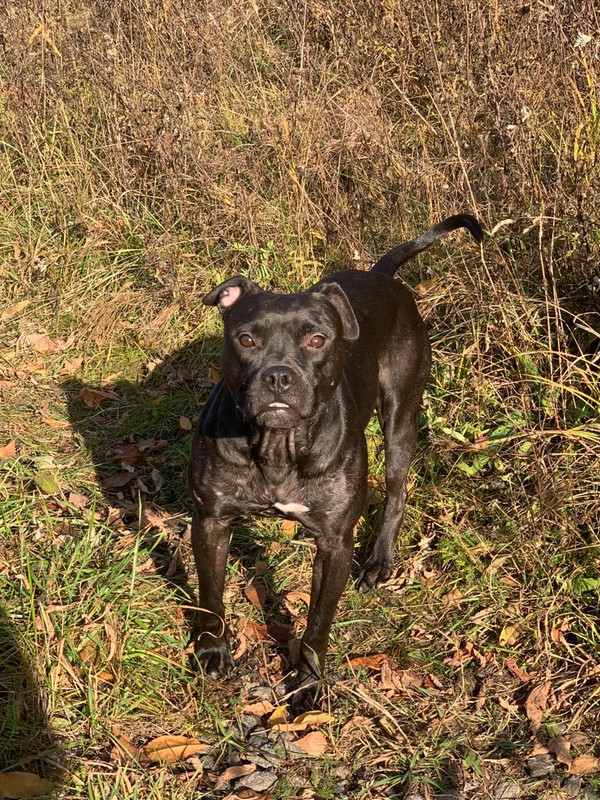 78FFAFB7-E284-4F92-A2FB-B419842FE6E3