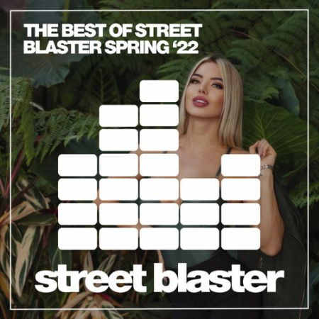 61775fa4 37c6 4663 b47e 0a3d639cb458 - VA - The Best of Street Blaster Spring '22 (2022)
