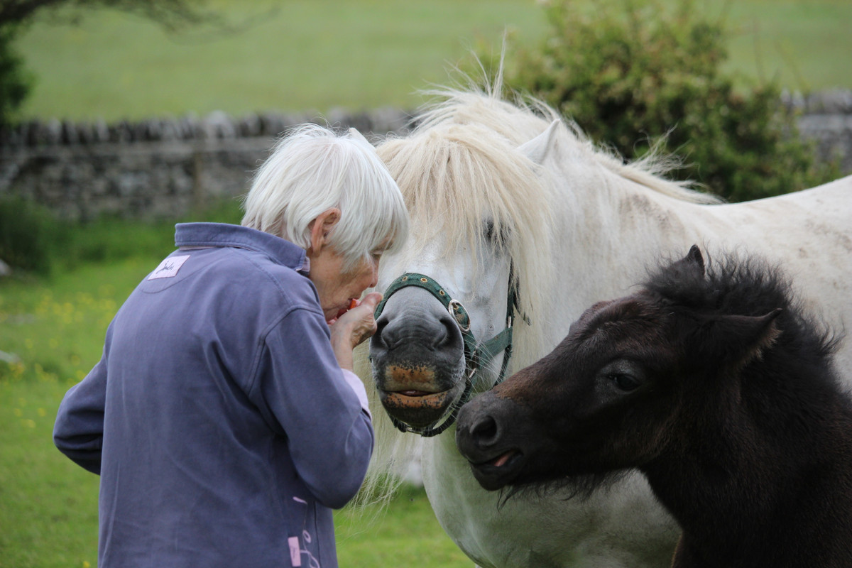 5B056D8D-1596-402A-AF3B-AB12528AE1E9