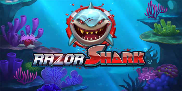 Sensasi Hoki Hari Ini Terasa Di Slot Razor Shark