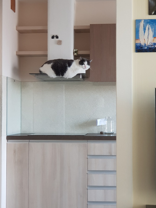 20190406-083733.jpg