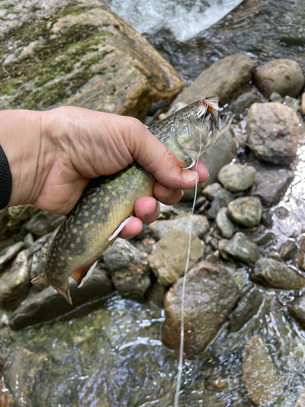 7AE5E976-5180-40B2-A510-4BB8BFBD2388