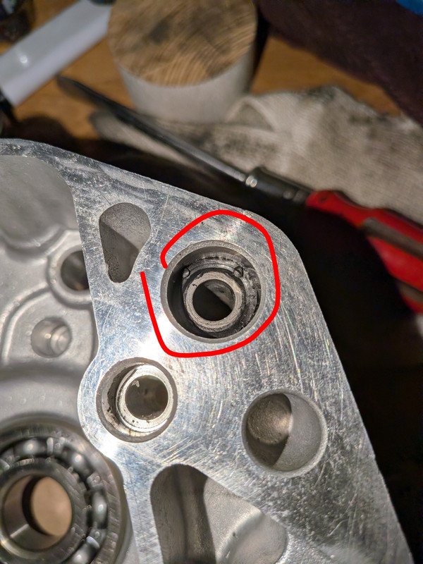 PXL 20251101 170139236 MACRO FOCUS 2 jpg compressed