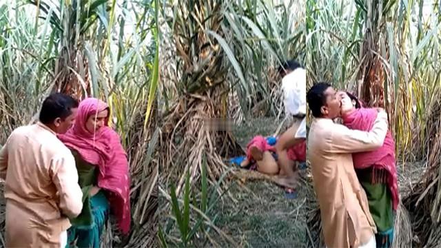 [Image: webxmaza-13303.jpg]