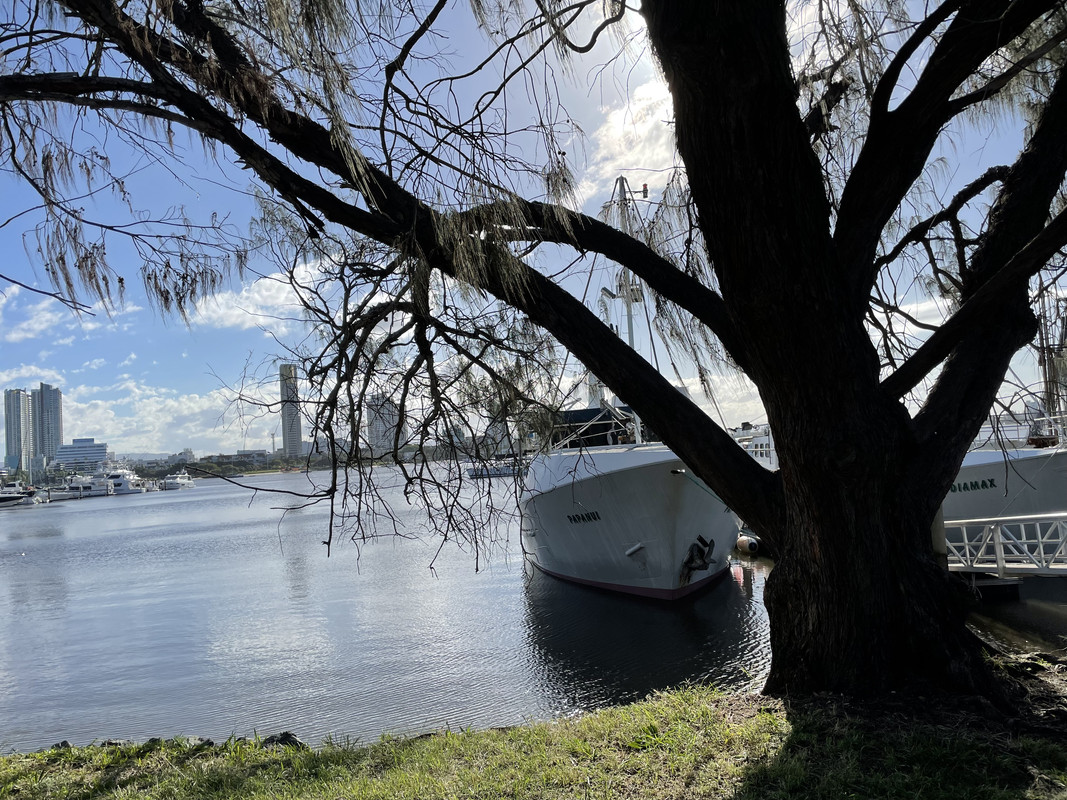 089FFCEC-0B19-4313-91DF-3678F9142D9A