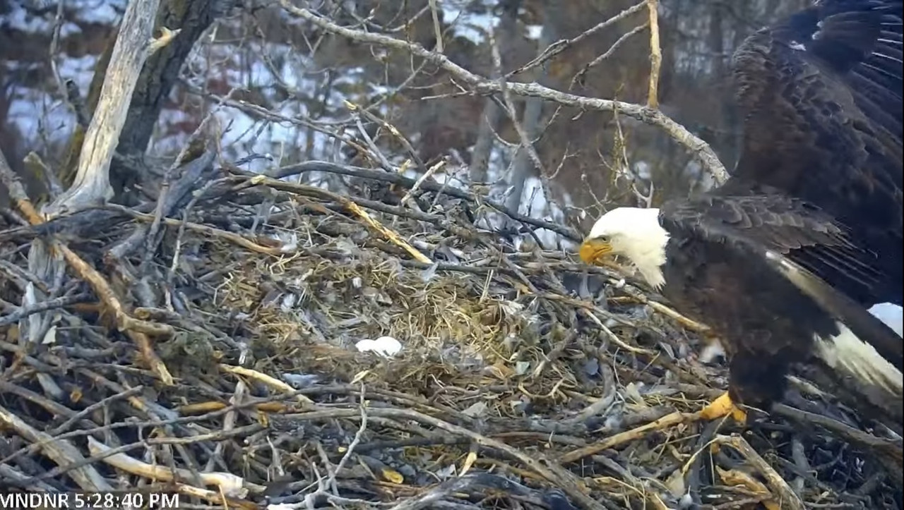 23A7DF8C-FA0D-4861-979B-2F5310D0F0C2