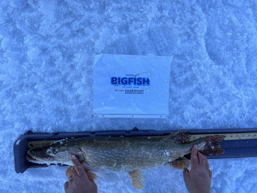 A8785A5A-6B39-48CB-8AB2-FADC5F590632