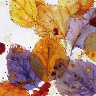 Sketch & Paint Watercolor Autumn Leaf