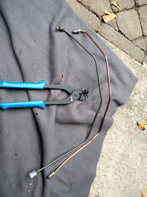 8975B591-BDAB-48DE-88FE-6C5D01211A4B