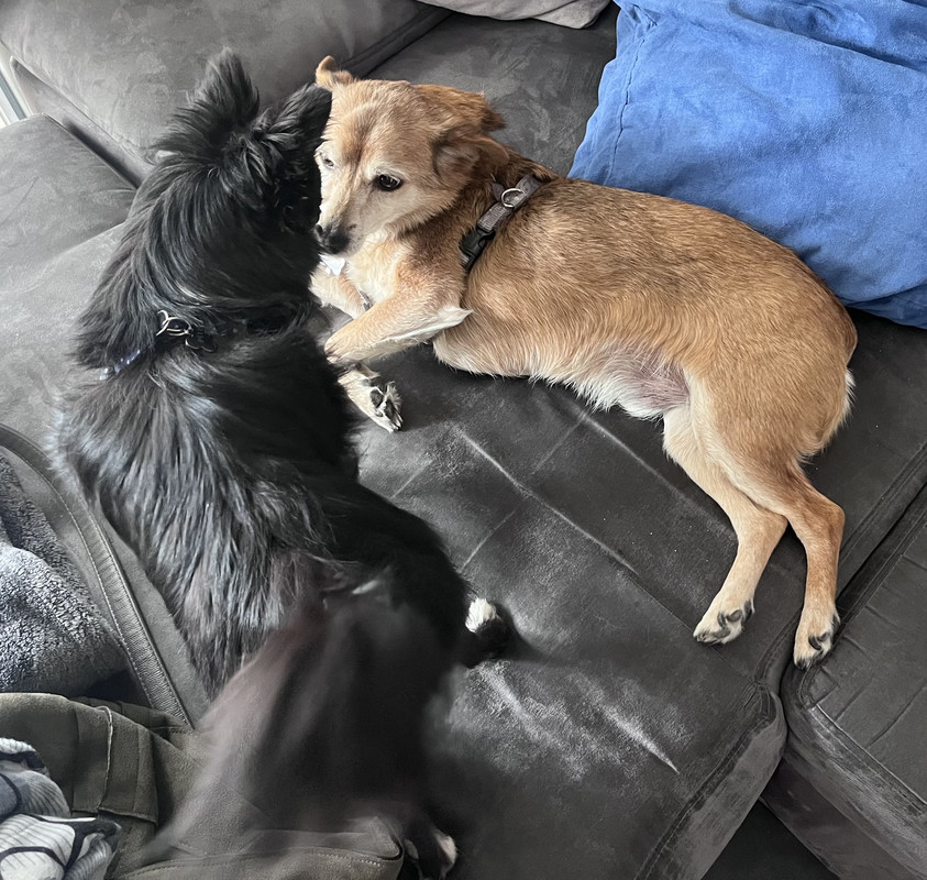 [Image: IMG-8879.jpg]