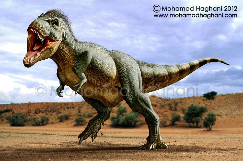 694ff73ee813a13ebacb0f9df64f3758