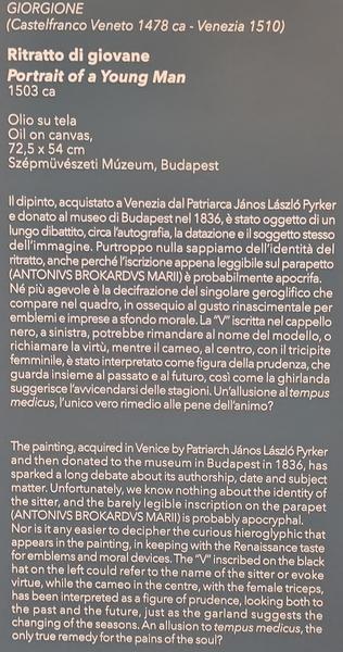 Roma: Villa Farnesina, Bernini&Barberini, Detroit Museum - Roma y Nápoles: Bernini, Giorgione y mucho más. (169)