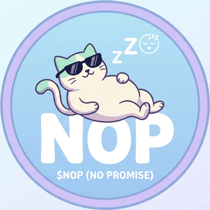NO PROMISE
