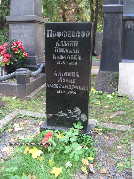 kashin-np1