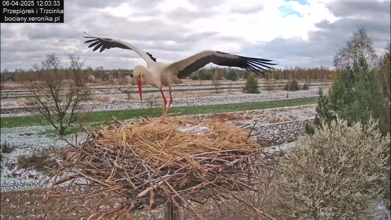 06042025minutazbocianem_5