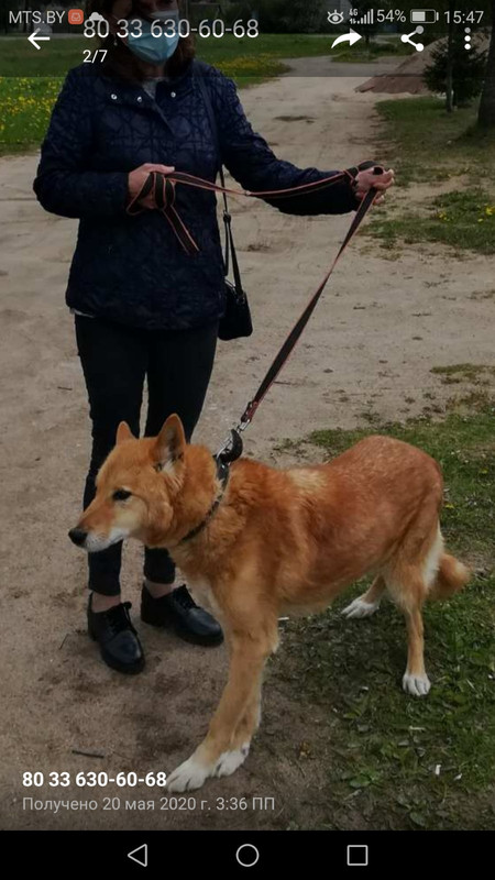 изображение_viber_2020-05-20_15-47-30