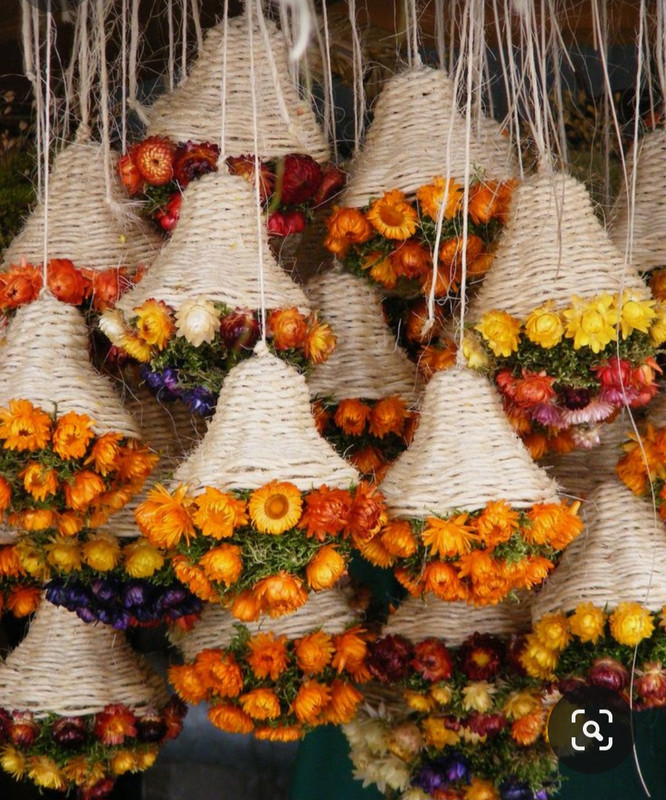 Screenshot_20230906_003053_Pinterest