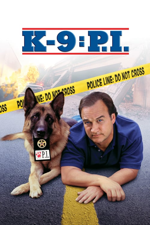 K 9 P I 2002 1080p BluRay H264 AAC RARBG