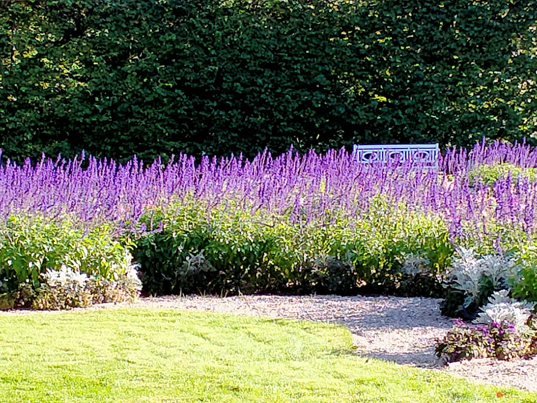 011 - IMG20210904162423