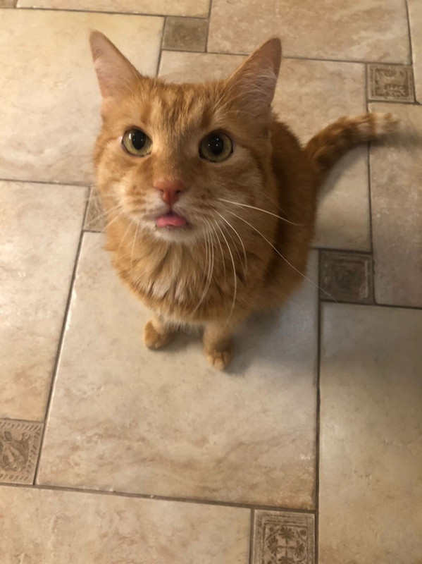 BBBD0524-1AF0-43E3-A9AB-6EB7FD9A259C