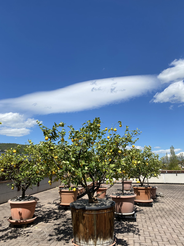 D21EDD6B-F56C-4019-9EDC-45697087C344