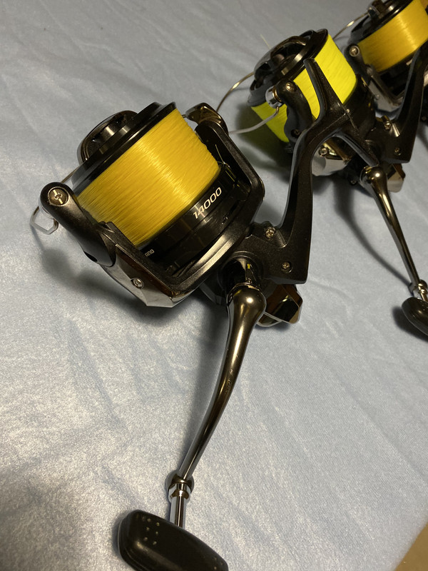 C70FDA7D-40B1-4149-8978-42EEBF23CB0E