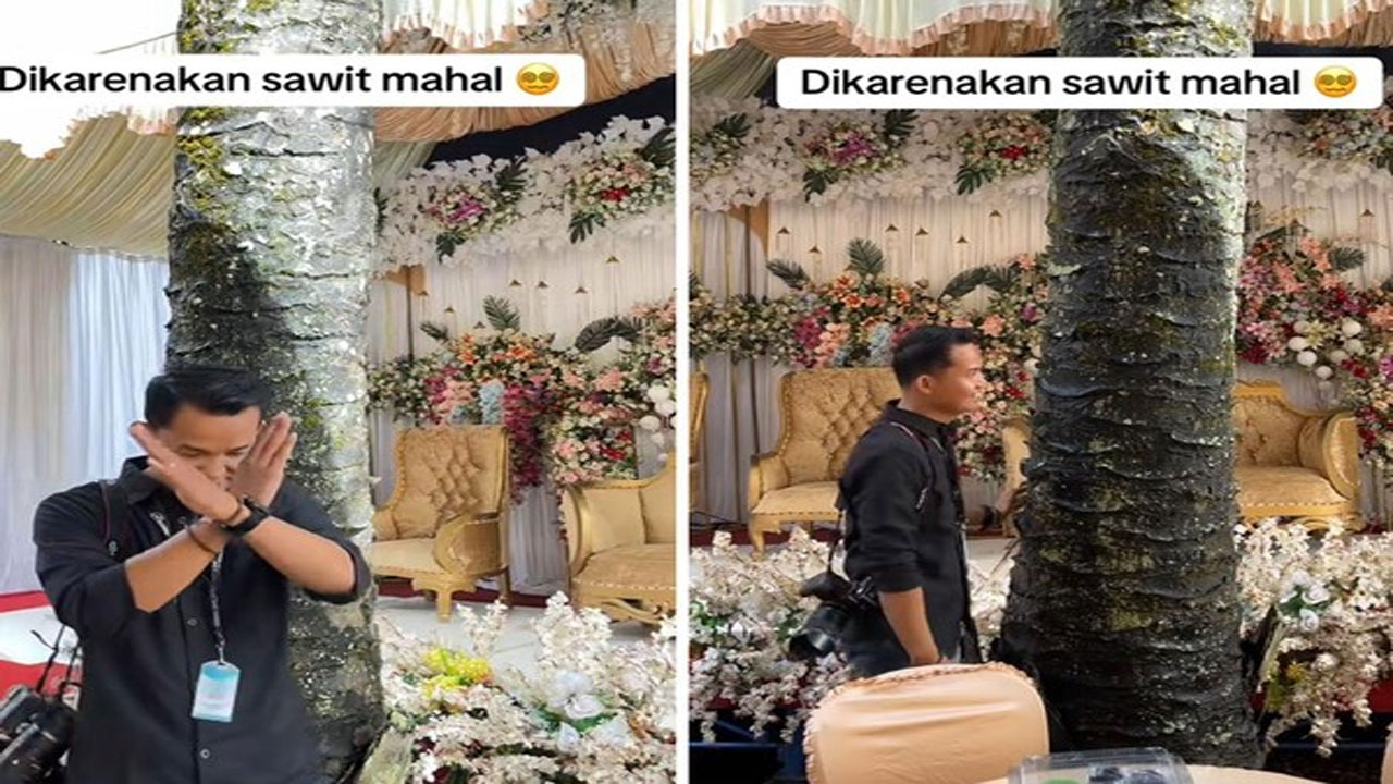 Pohon Sawit di Tengah Pelaminan