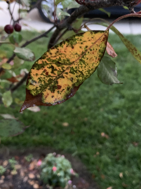 4B002340-B8DF-4206-8B4A-9C6CD5B765AB