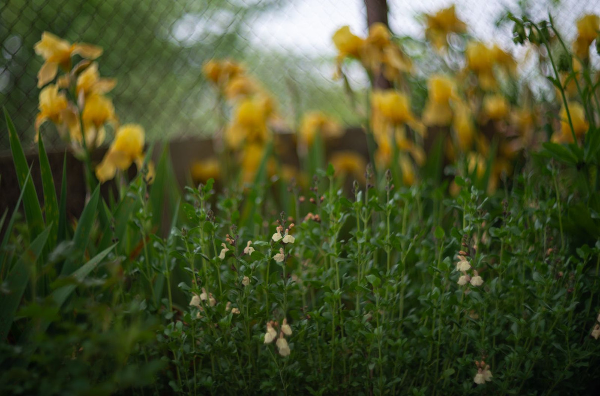IMG-1f4fb5654e5af57ad1714c6b9af1fbc0-V