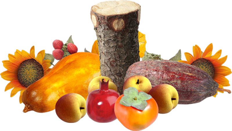 IPD_AH_Element (114)